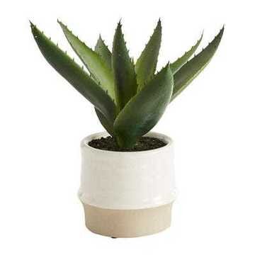 Faux Aloe Plant