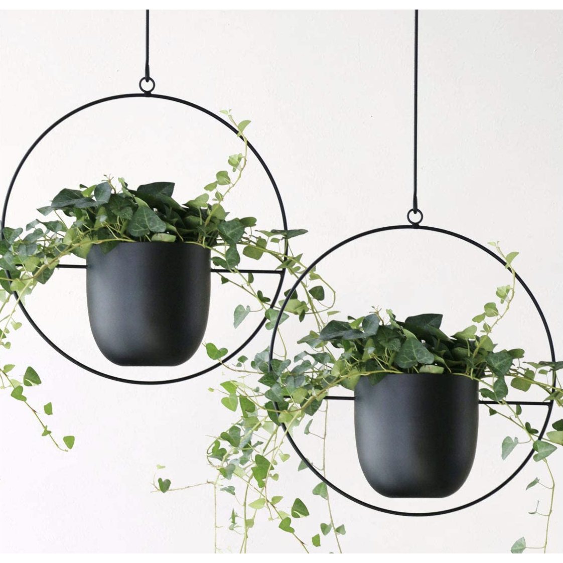 Hanging Planter