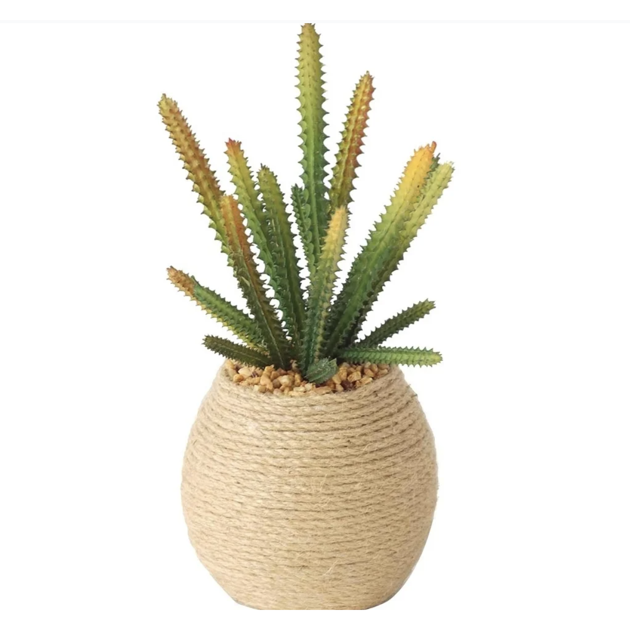 Faux Succulent