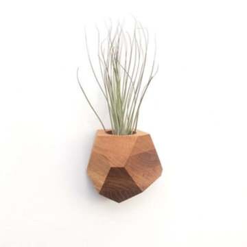 Air Plant Holder