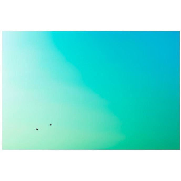 "Up and Down" | Framed Photograph